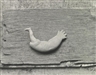 Frederick Sommer, ONDINE