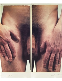 Chuck Close, MARK [MORRISROE] DIPTYCH II