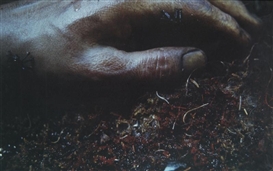 Cindy Sherman, UNTITLED #240 (FROM THE CIVIL WAR SERIES)