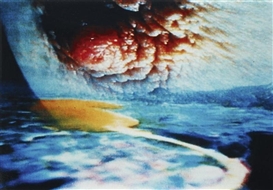 Pipilotti Rist, Videostill Pickelporno