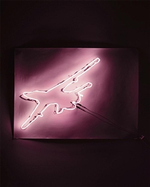Fiona Banner, F111 Aardvark