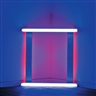 Dan Flavin, Untitled (To Barbara Lipper)