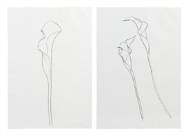 Ellsworth Kelly, Calla Lilies