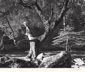 Ansel Adams, Morning, Merced River Canyon, Yosemite National Park, circa 1950