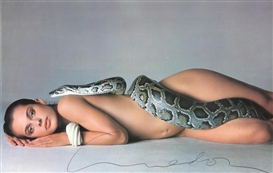 Richard Avedon, Nastassja Kinski and the Serpent, Los Angeles, California