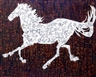 Xue Song, Horse