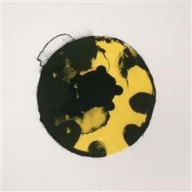 Kees de Goede, Yellow black circles