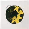 Kees de Goede, Yellow black circles