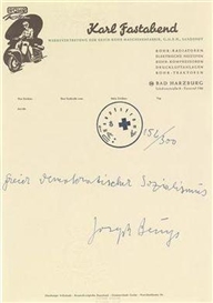 Joseph Beuys, Free Democratic Socialism