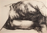 Luis Caballero, Nude