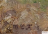 Maria Caspar-Filser, Frühling auf der schwäbischen Alb