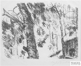 Lovis Corinth, Beech woods