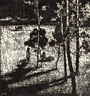 Zheng Zhen, Forest