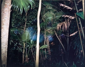 Richard Misrach, Untitled (Hawaii Series) 1978