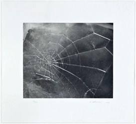 Vija Celmins, WEB