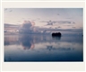 Mitch Epstein, Moorea. French Polynesien