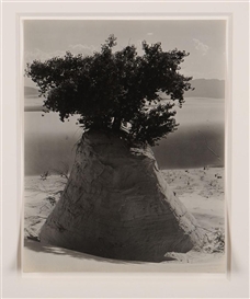 Edward Weston, WHITE SANDS, NEW MEXICO