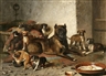 Bernard te Gempt, Bulldog and litter