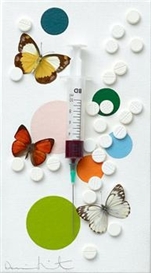 Damien Hirst, Fun