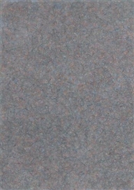 Paolo Iacchetti, The same