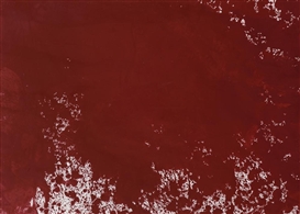 Hermann Nitsch, Senza titolo