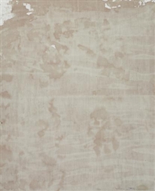 Hermann Nitsch, Relitto