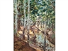 Pieter Hugo, Goudini Woods