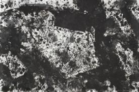 Sam Francis, Metal Cloud