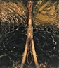 Gregory Gillespie, Split Image Swamp
