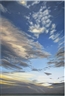 Lisa Milroy, SKY