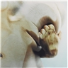 Jenny Saville, CLOSED CONTACT #5