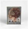 Betye Saar, Untitled (Phrenology Box)