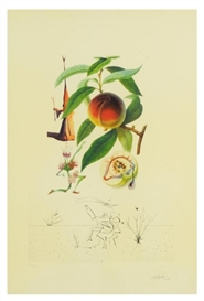 Salvador Dalí, "Pecher Penitent (Penitent Peach Tree)" of "FlorDali / Les Fruits"