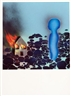David Wojnarowicz, THE BURNING HOUSE