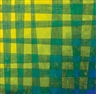 Peter Schuyff, Yellow and green plaid