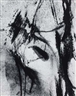 Nathan Lyons, Abstraction