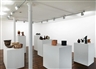 Group Exhibition - Corvi-Mora