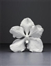 Marc Quinn, Careless Desire