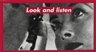 Barbara Kruger, Untitled (Look and listen)