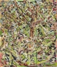 Cecily Brown, Lured
