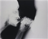 Wim Delvoye, Pipe 2