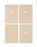 Luc Tuymans, Four Works: Cindy