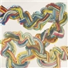 Bernard Frize, Yucca