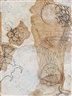 Dove Bradshaw, Untitled