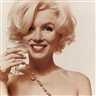 Bert Stern, Portfolio of 10 Works: The Last Sitting