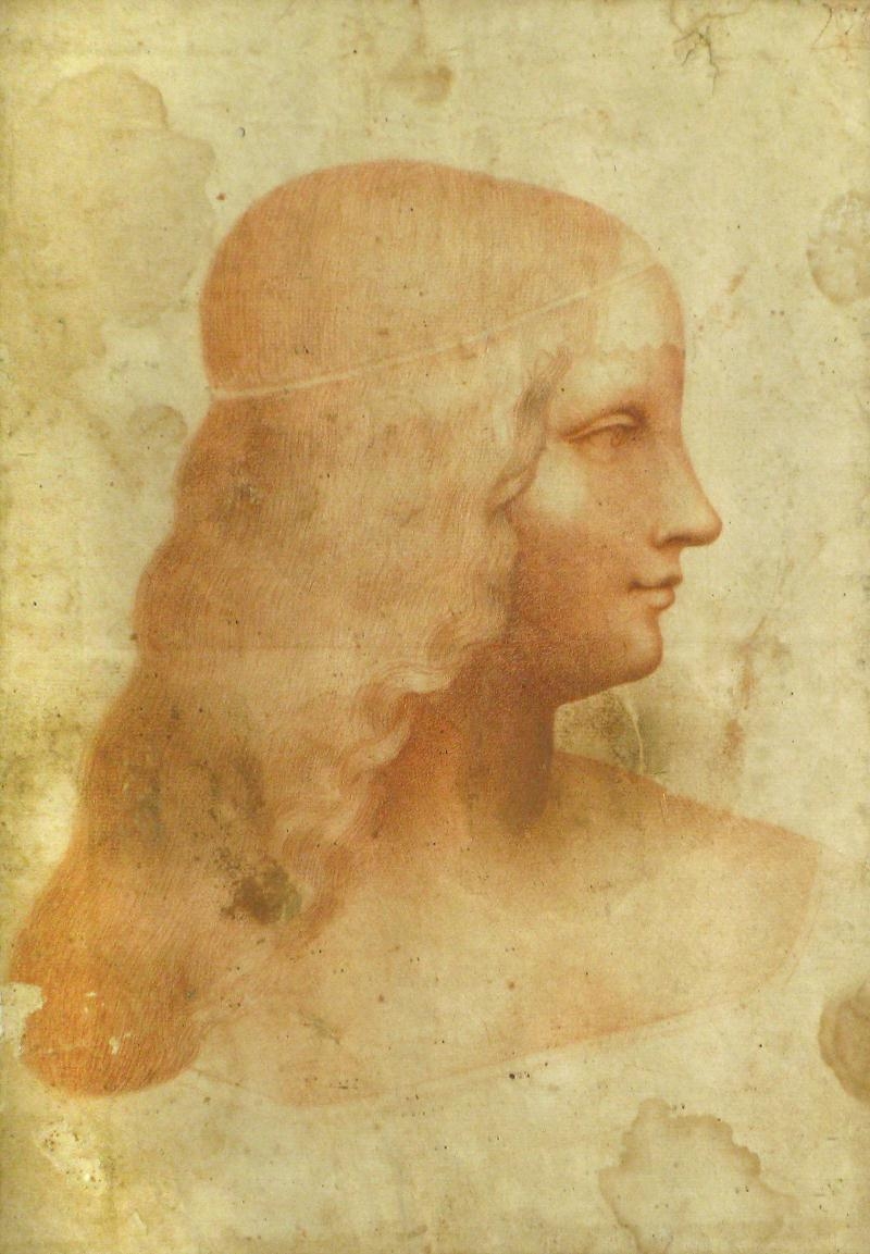 Da Vinci lost paintings on Pinterest Leonardo Da Vinci, Museum Of Art