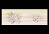 Keiji Usami, 2 Works: Hidden Shape; Leave the Half of me