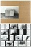 Vito Acconci, 3 works: Control situation: locked box enclosing a cat - Control box (John Gibson Gallery, New York