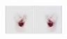 Roni Horn, Diptych: Clownmirror