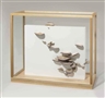 Roxy Paine, Untitled
